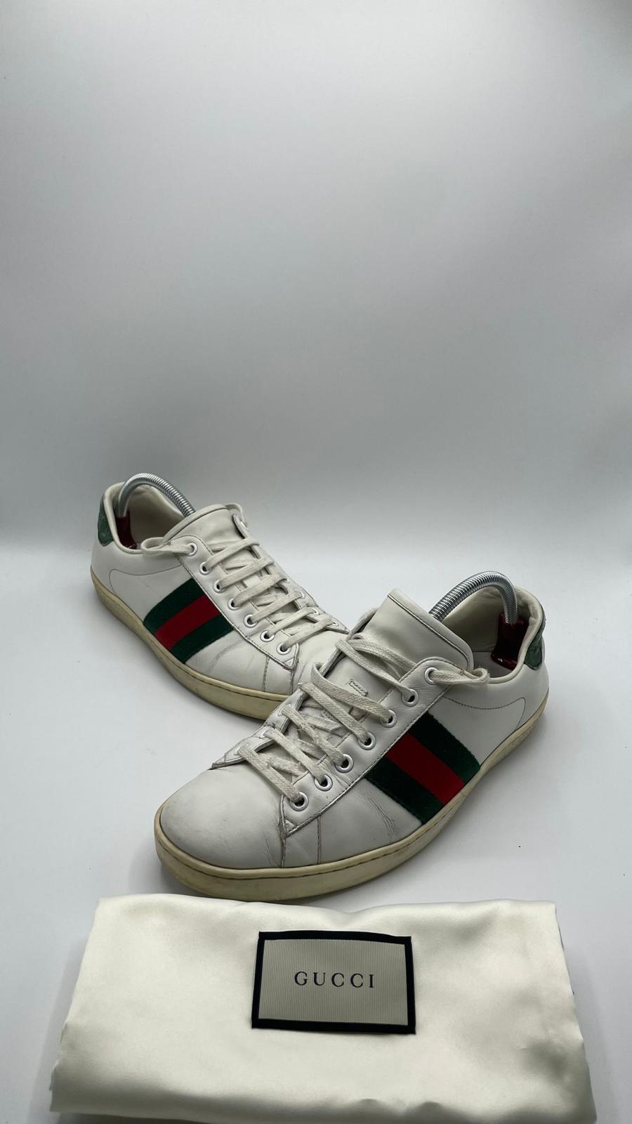 Gucci Ace