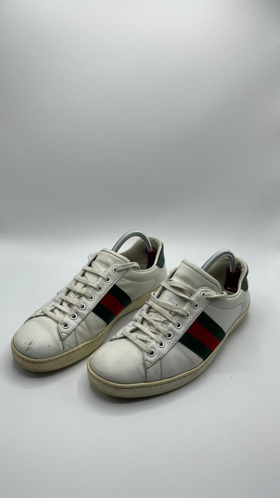 Gucci Ace