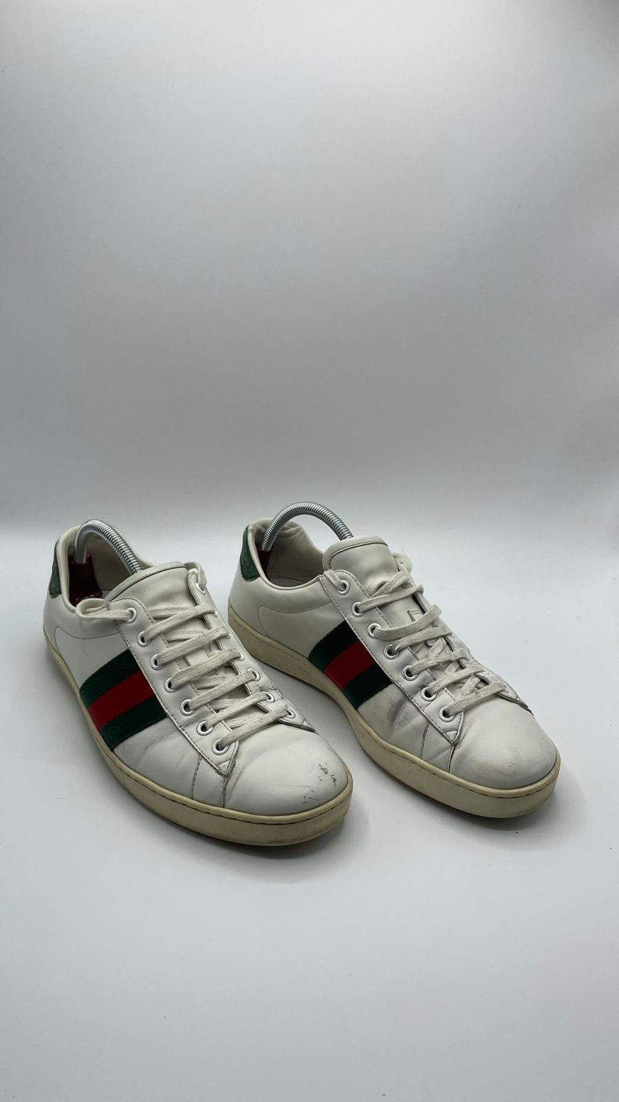 Gucci Ace