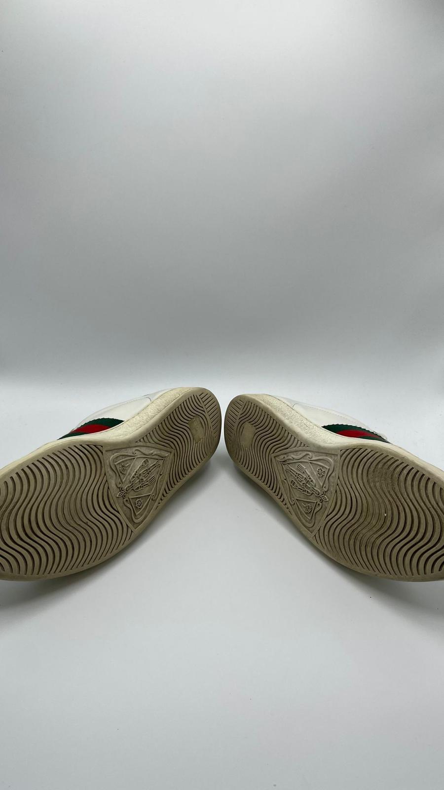 Gucci Ace