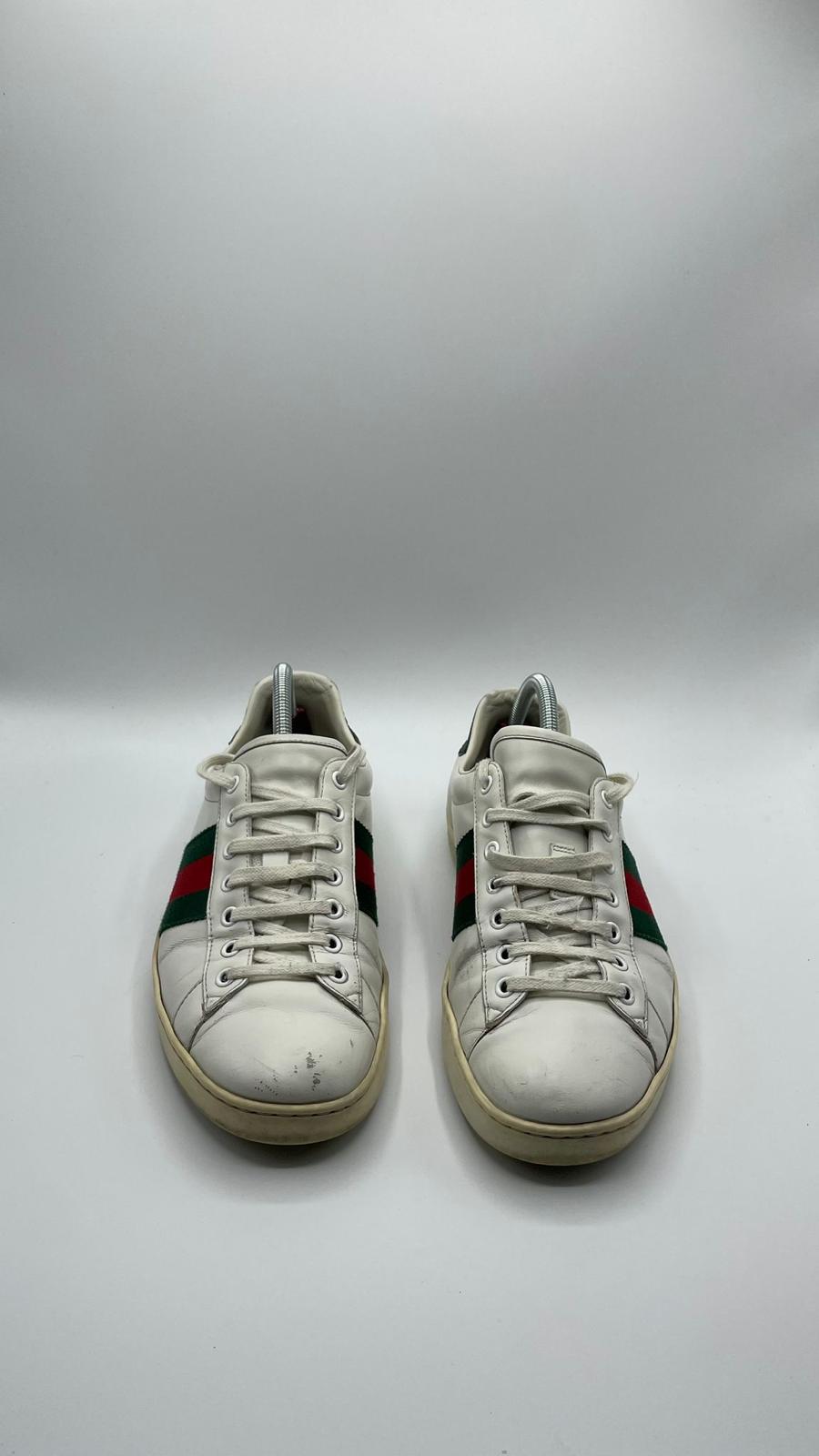 Gucci Ace
