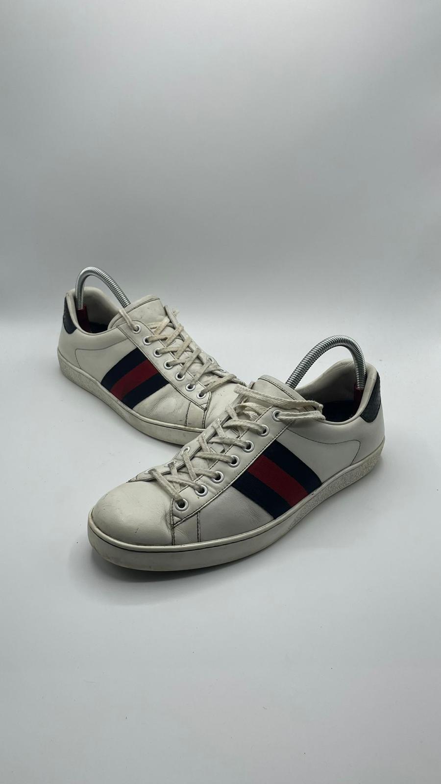Gucci Ace