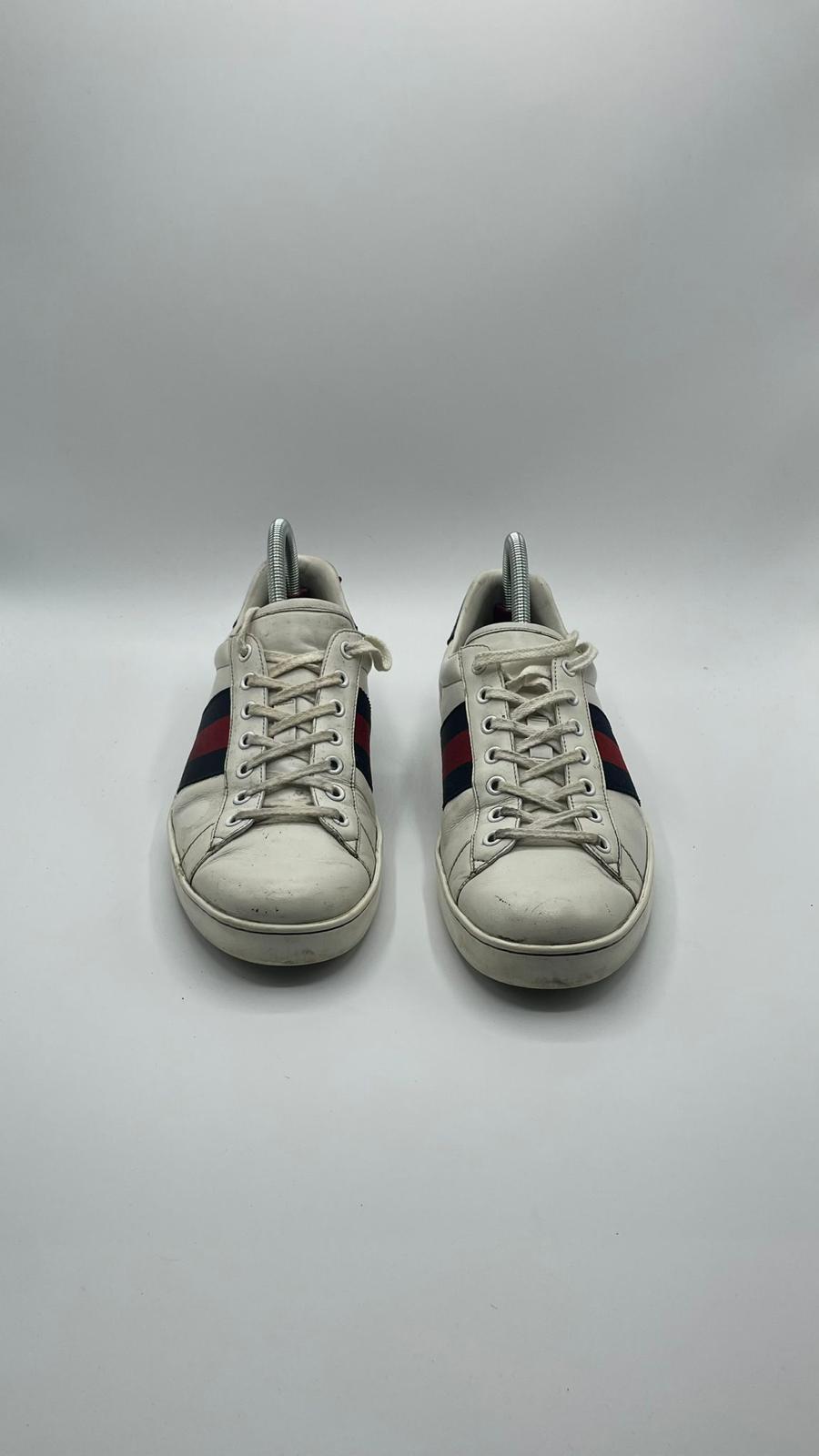 Gucci Ace