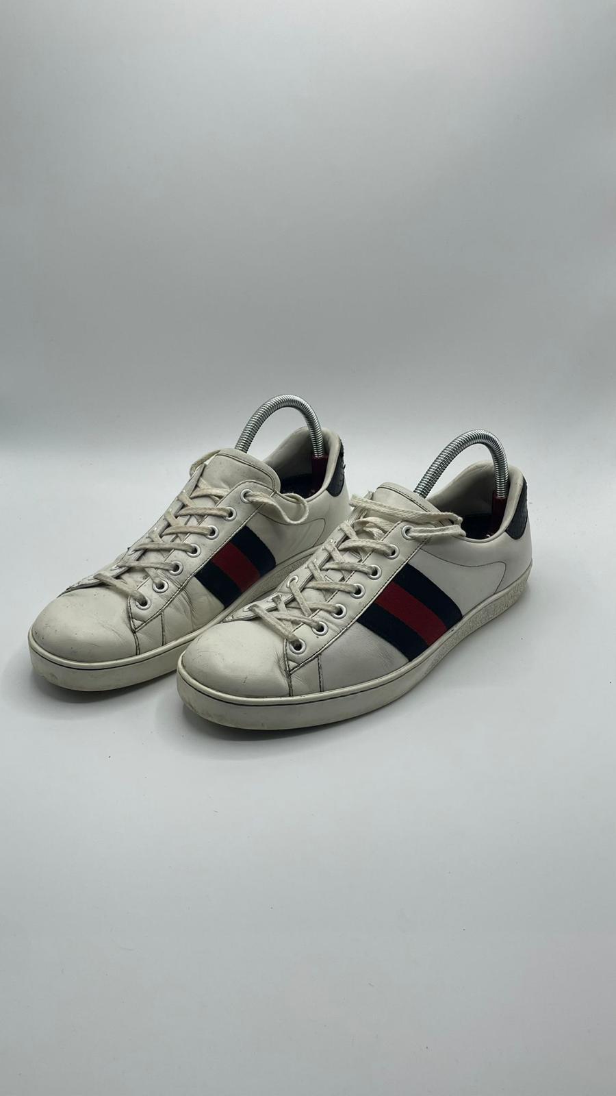 Gucci Ace