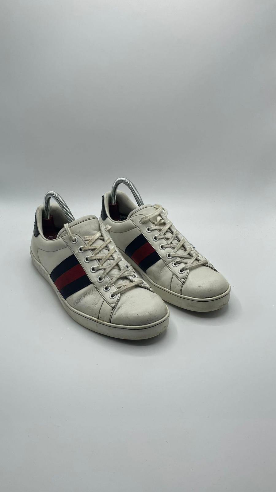 Gucci Ace