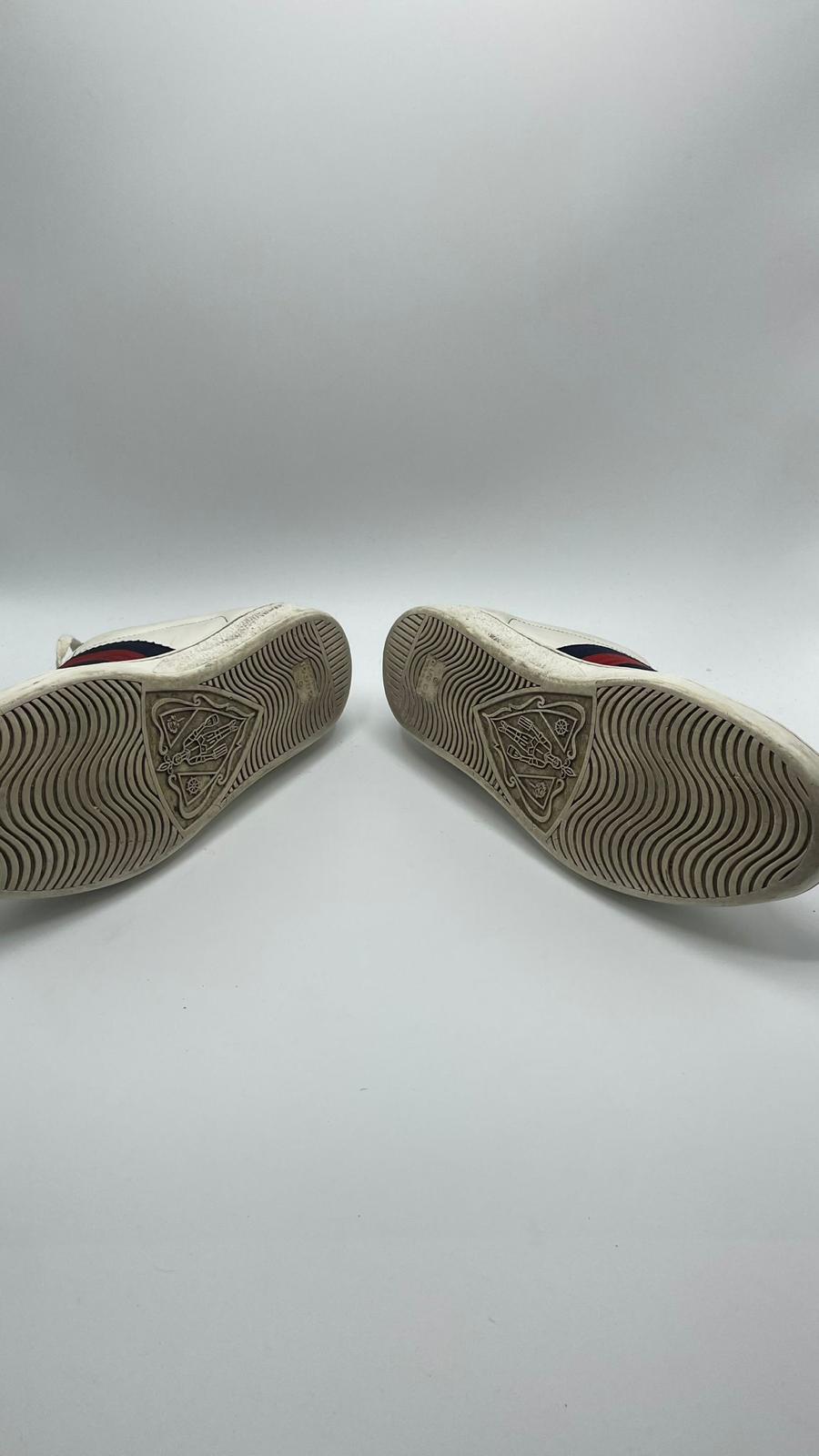 Gucci Ace