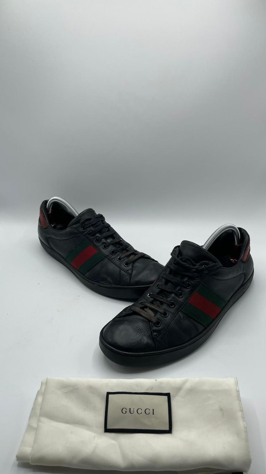 Gucci Ace