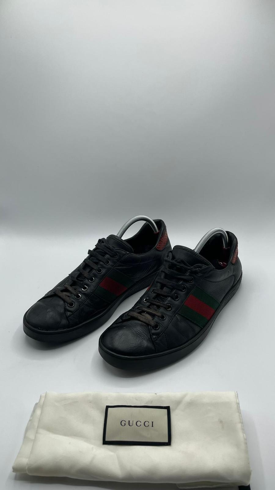 Gucci Ace
