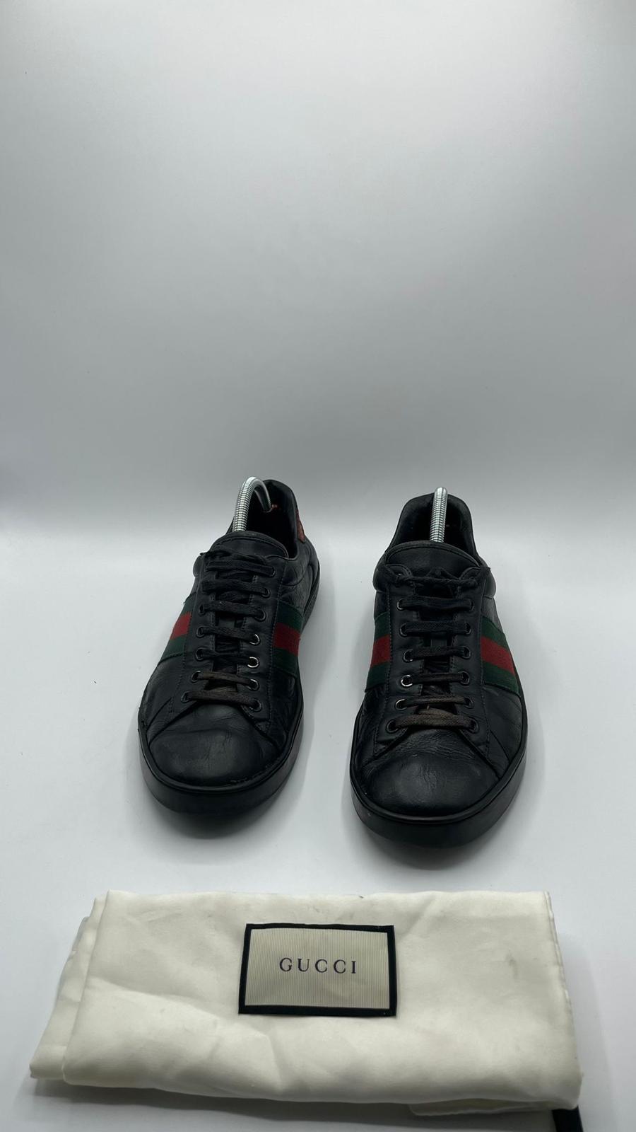 Gucci Ace