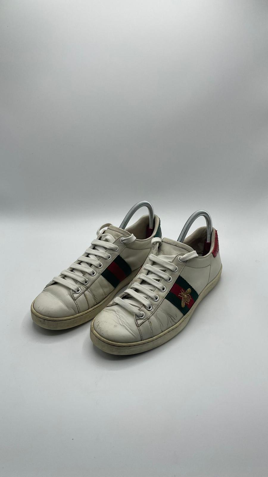 Gucci Ace Bee