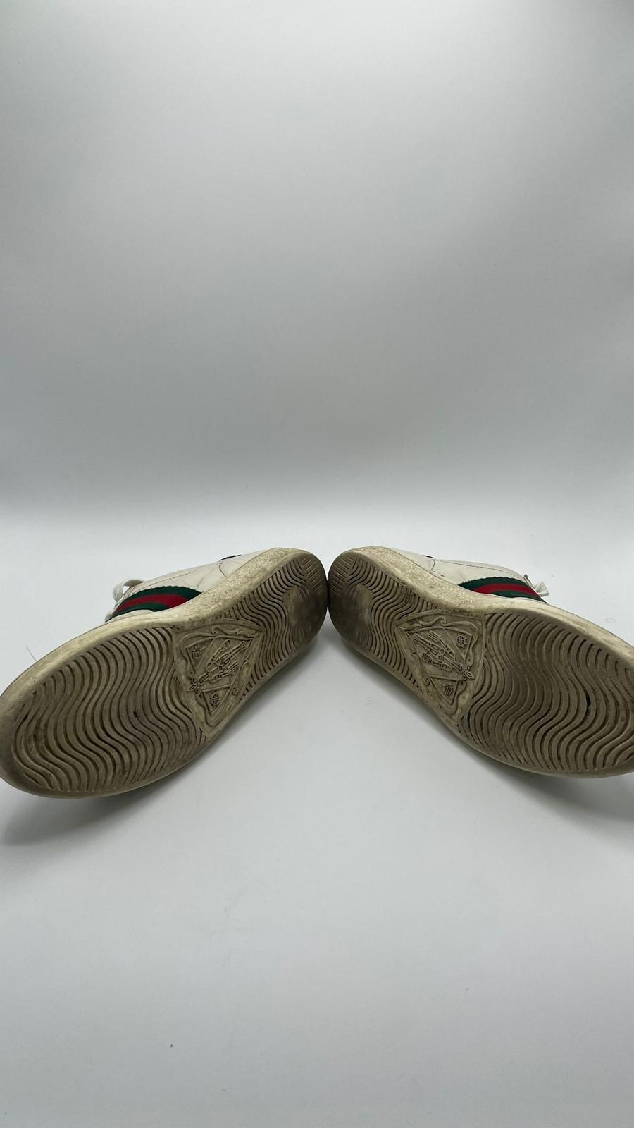 Gucci Ace Bee