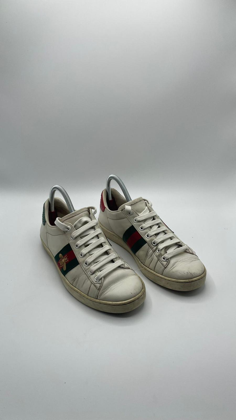 Gucci Ace Bee