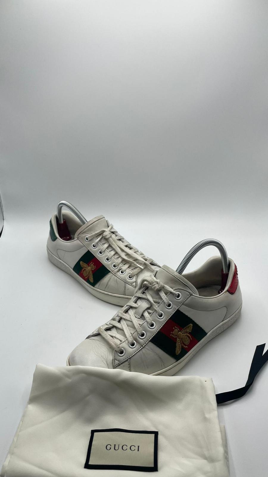 Gucci Ace Bee