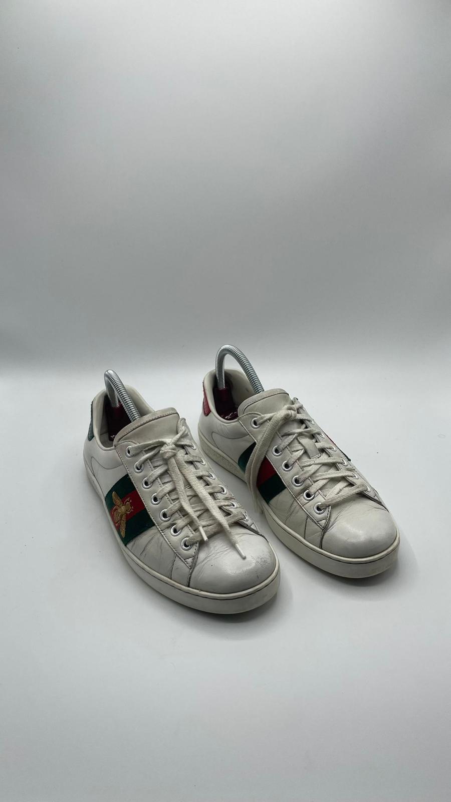 Gucci Ace Bee