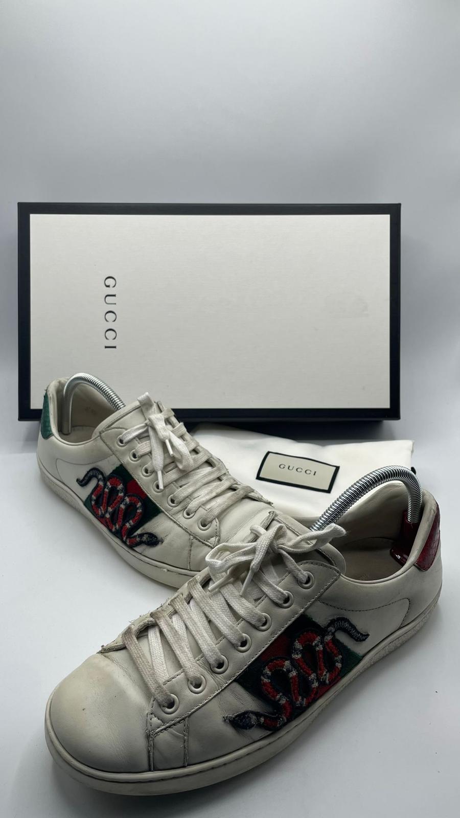 Gucci Ace Snake