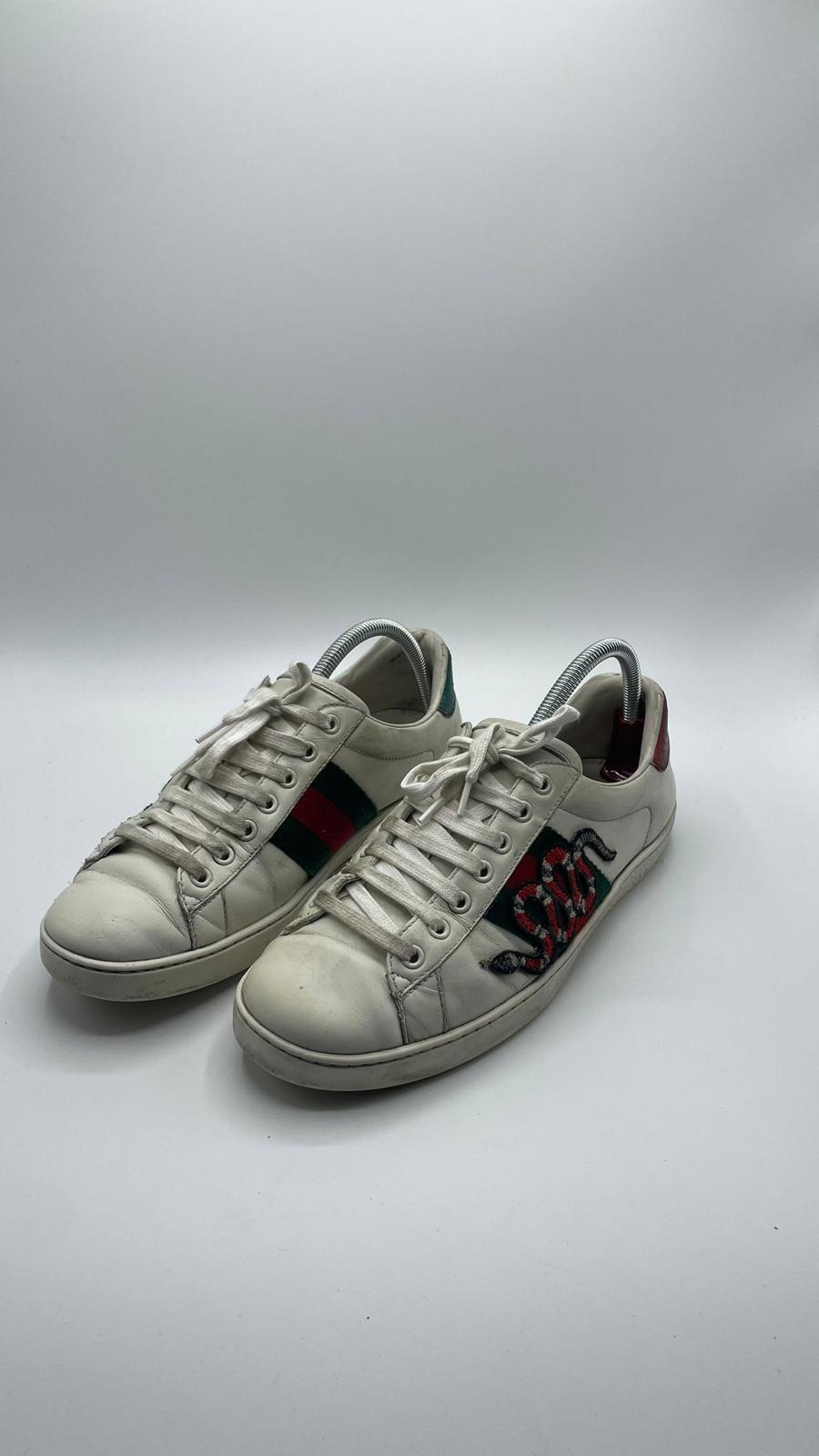 Gucci Ace Snake