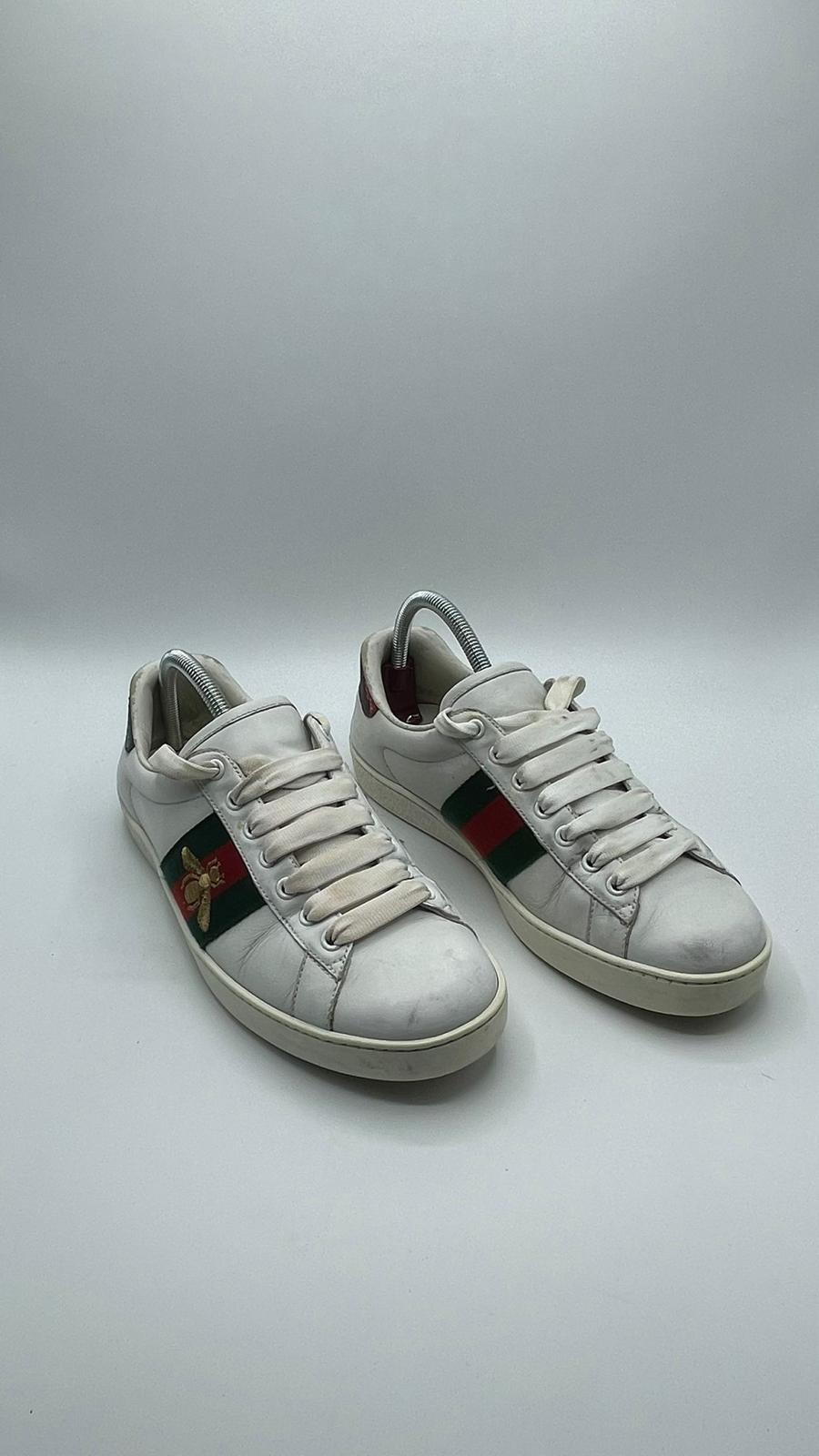 Gucci Ace Bee
