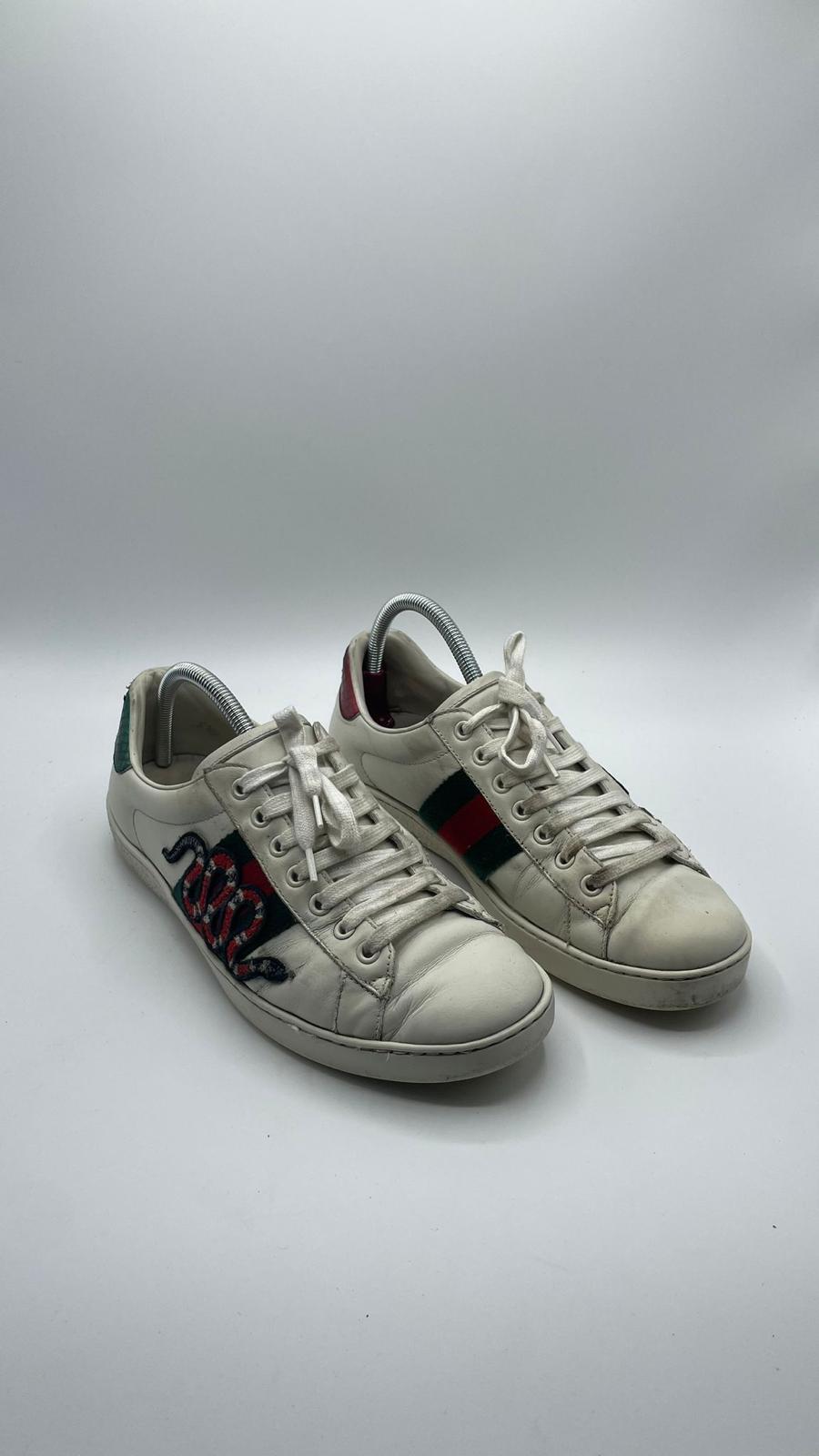 Gucci Ace Snake