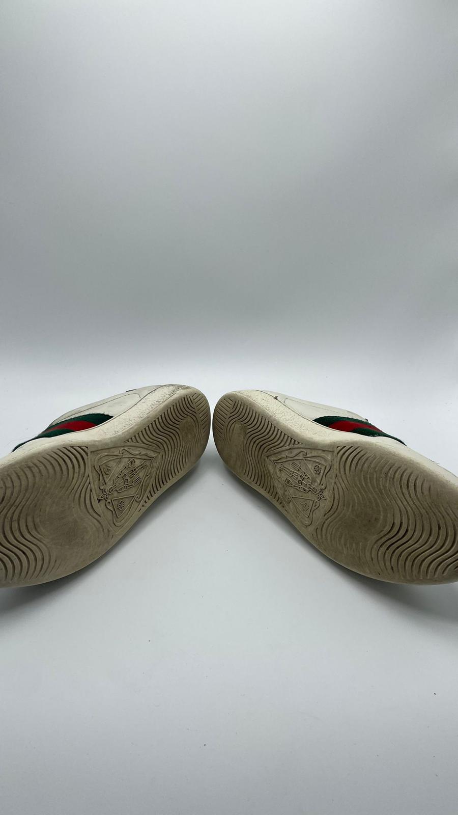 Gucci Ace Snake