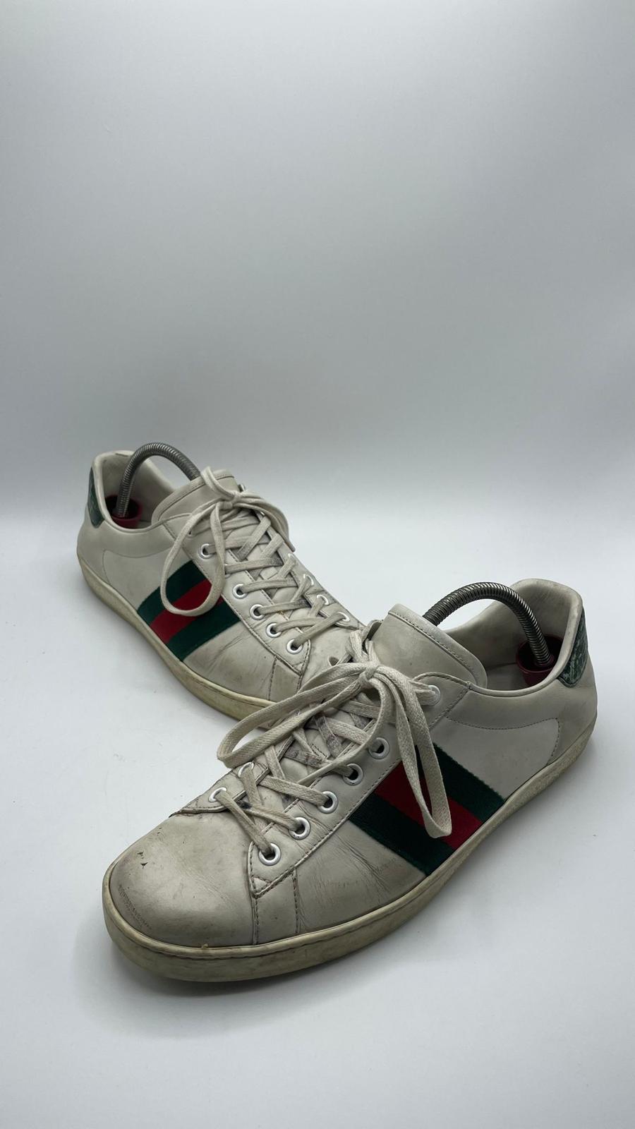 Gucci Ace
