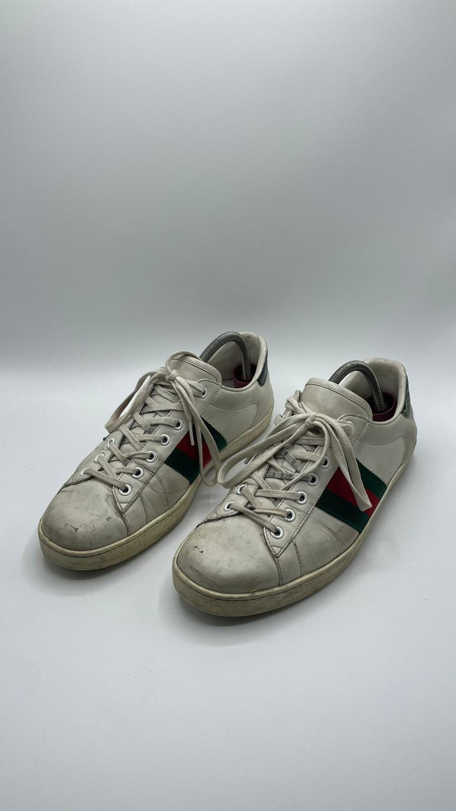 Gucci Ace