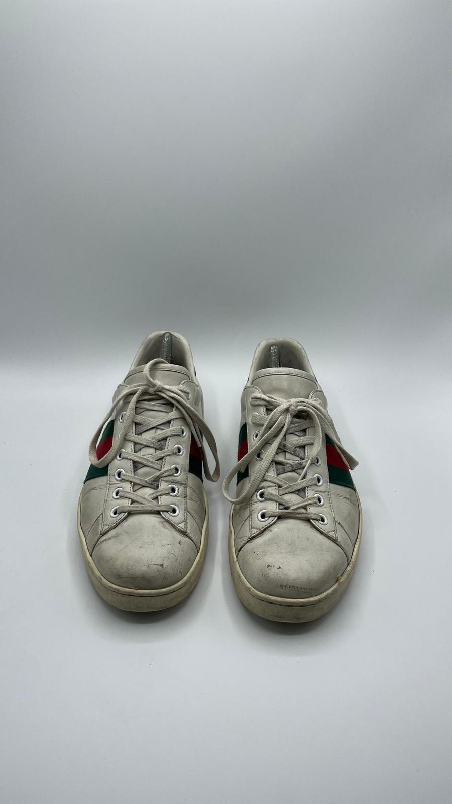 Gucci Ace