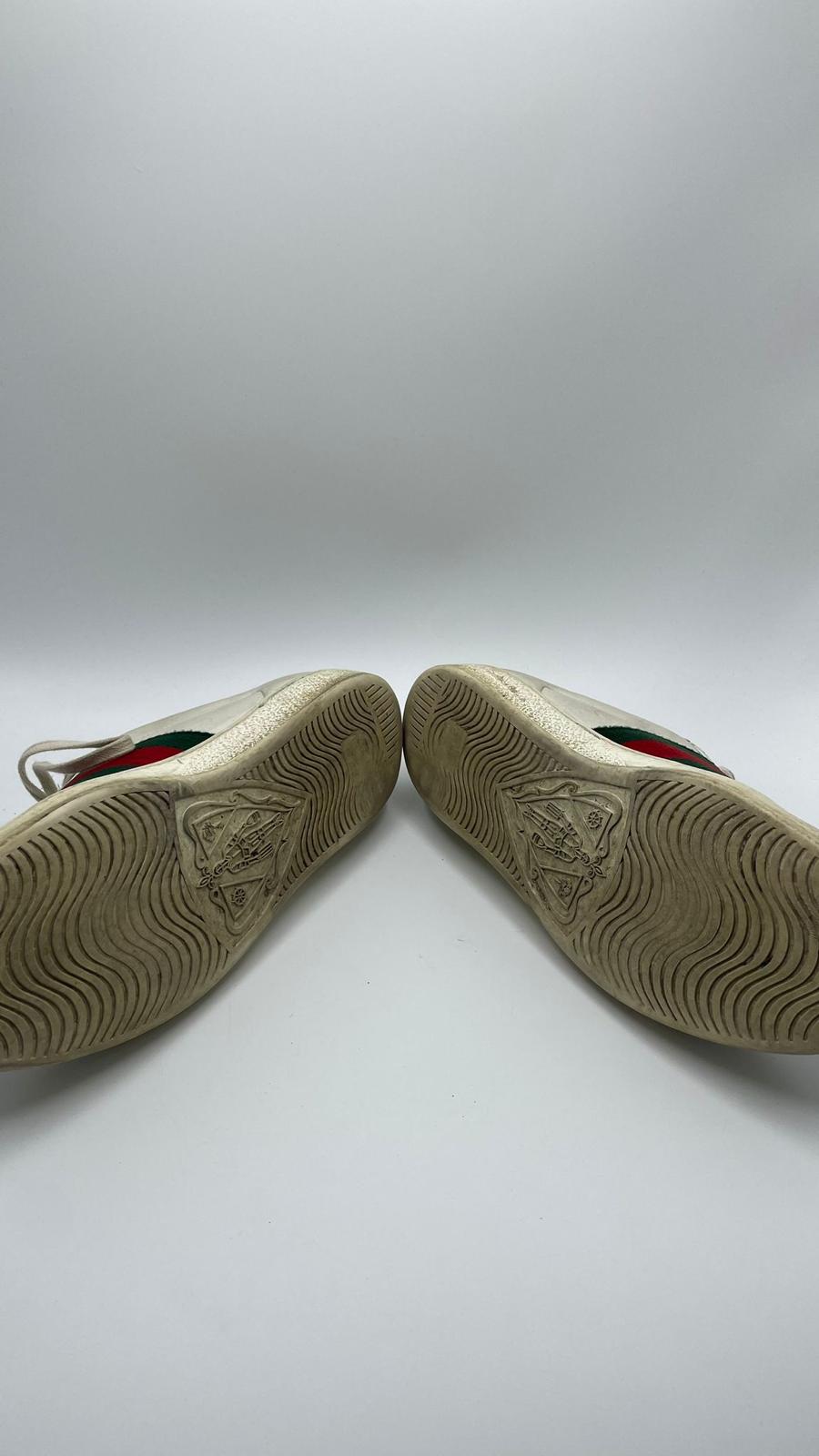 Gucci Ace