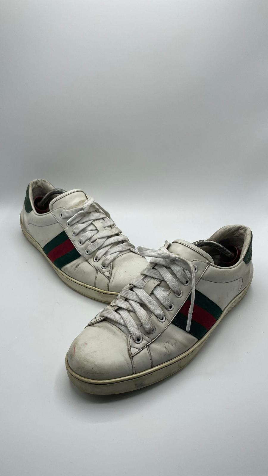 Gucci Ace