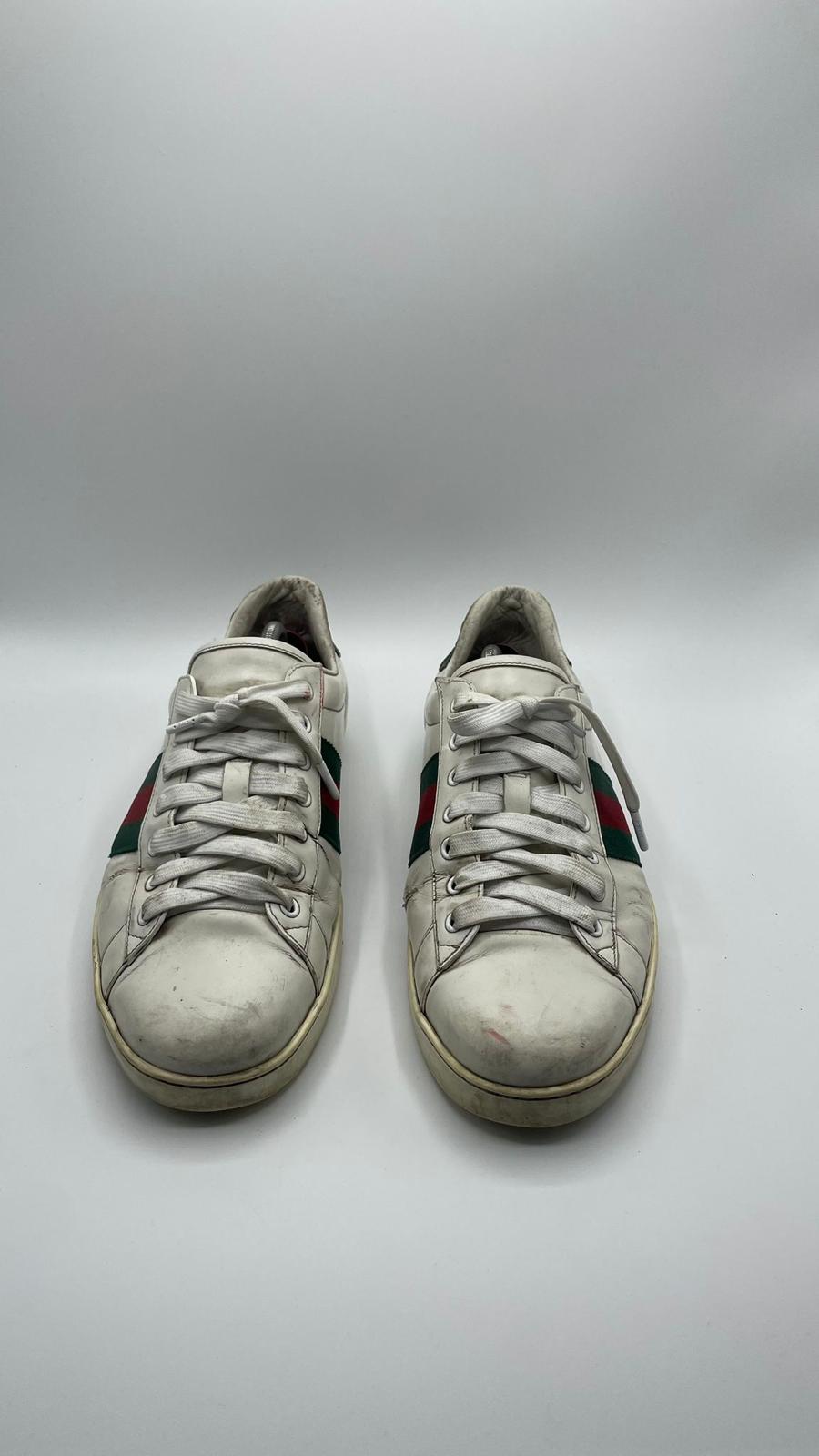 Gucci Ace