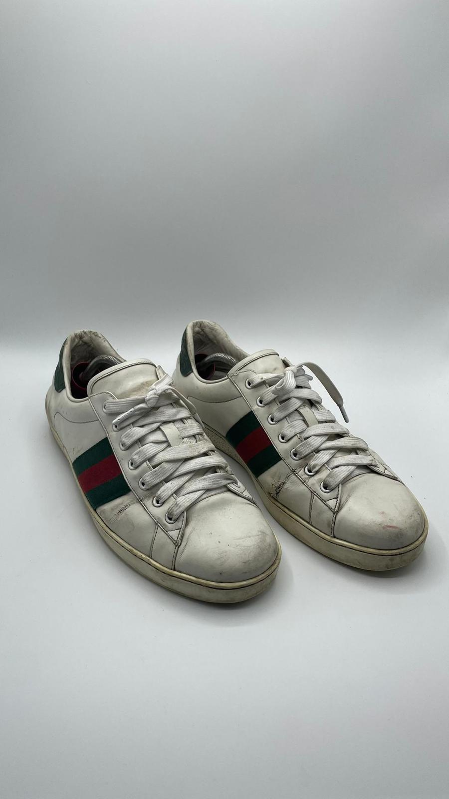 Gucci Ace