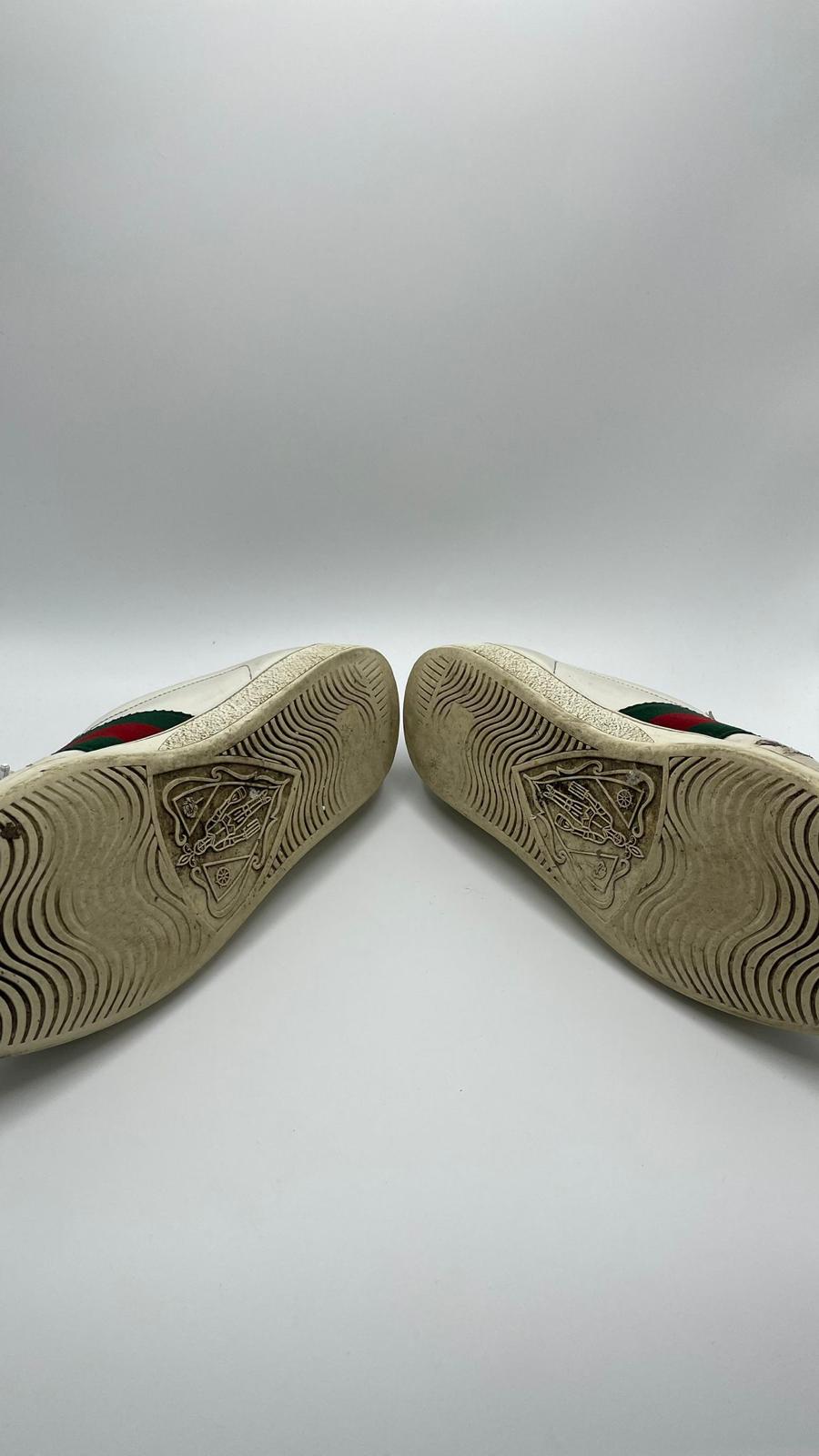 Gucci Ace