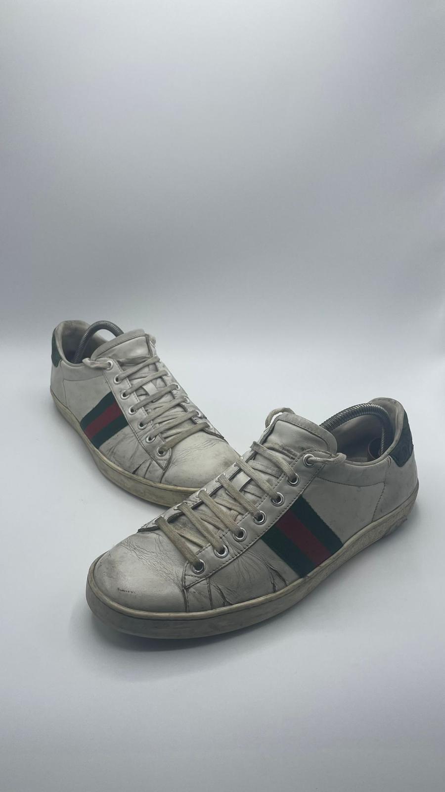 Gucci Ace