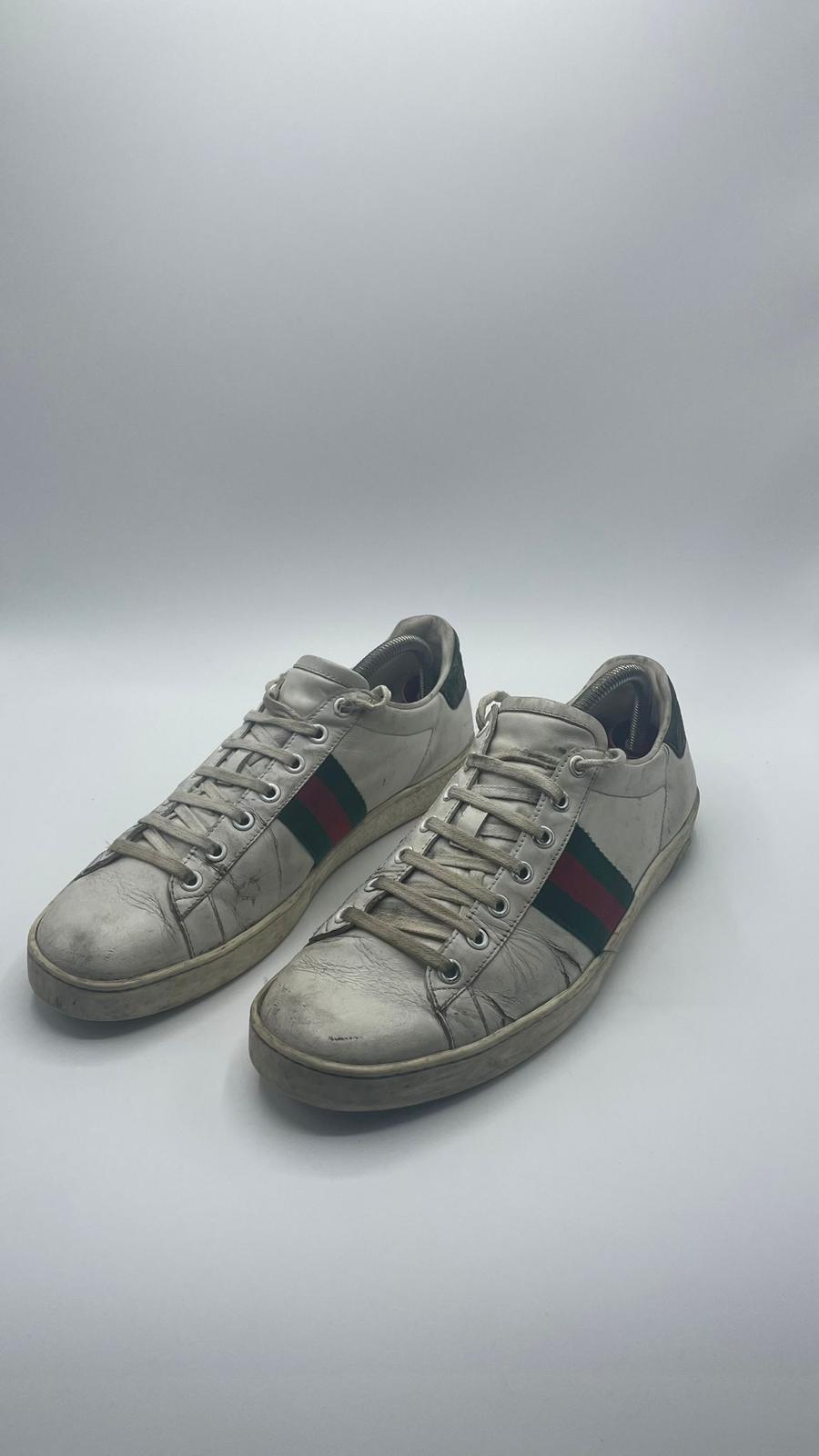 Gucci Ace