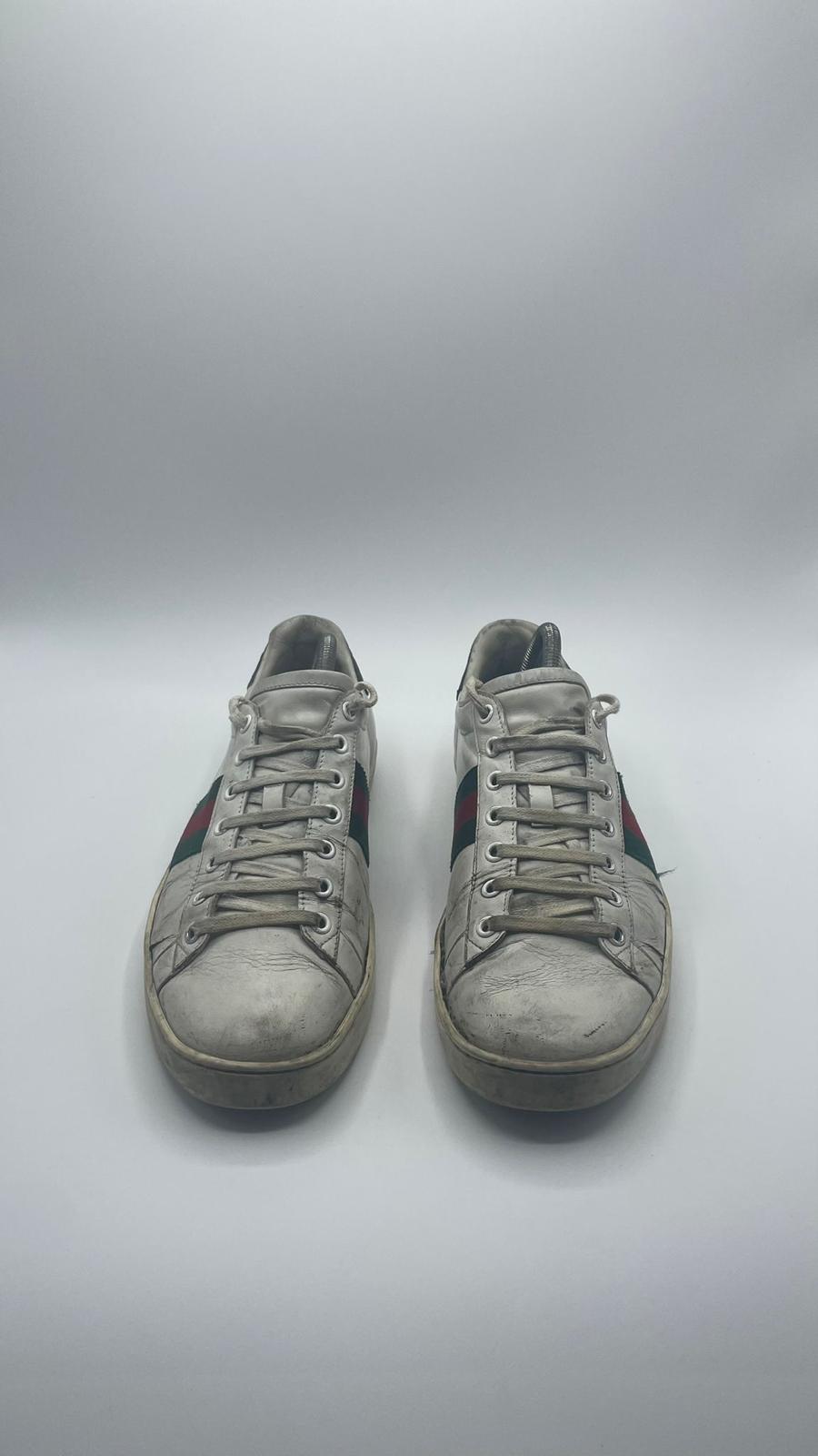 Gucci Ace