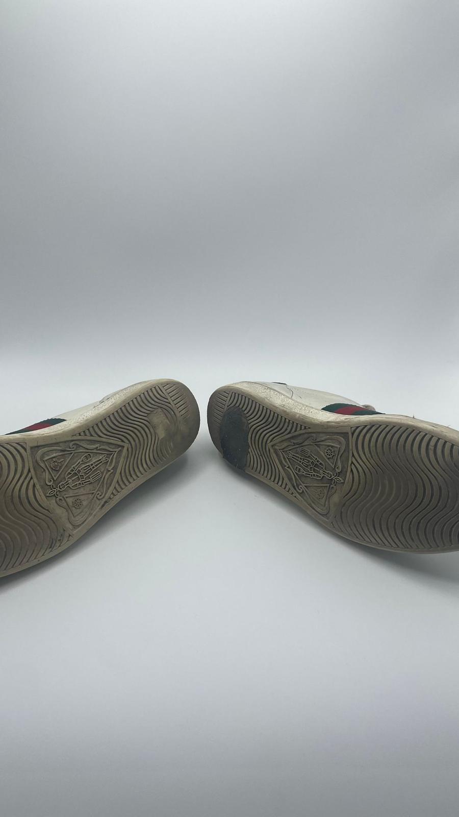 Gucci Ace