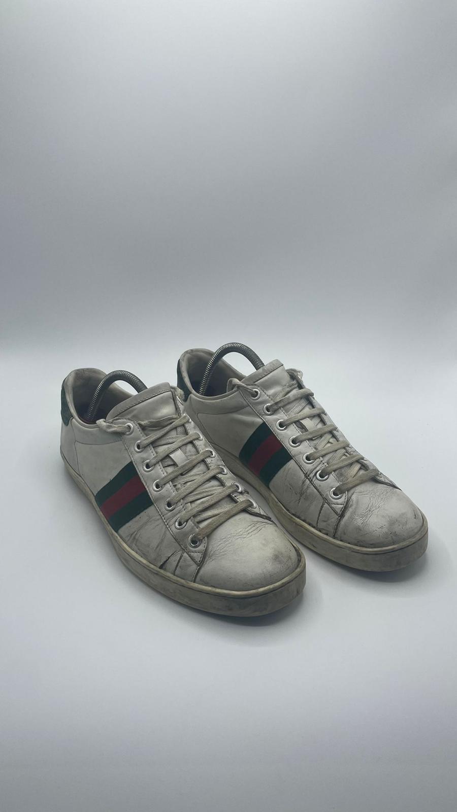Gucci Ace