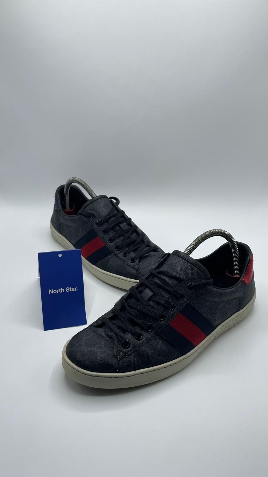Gucci Ace