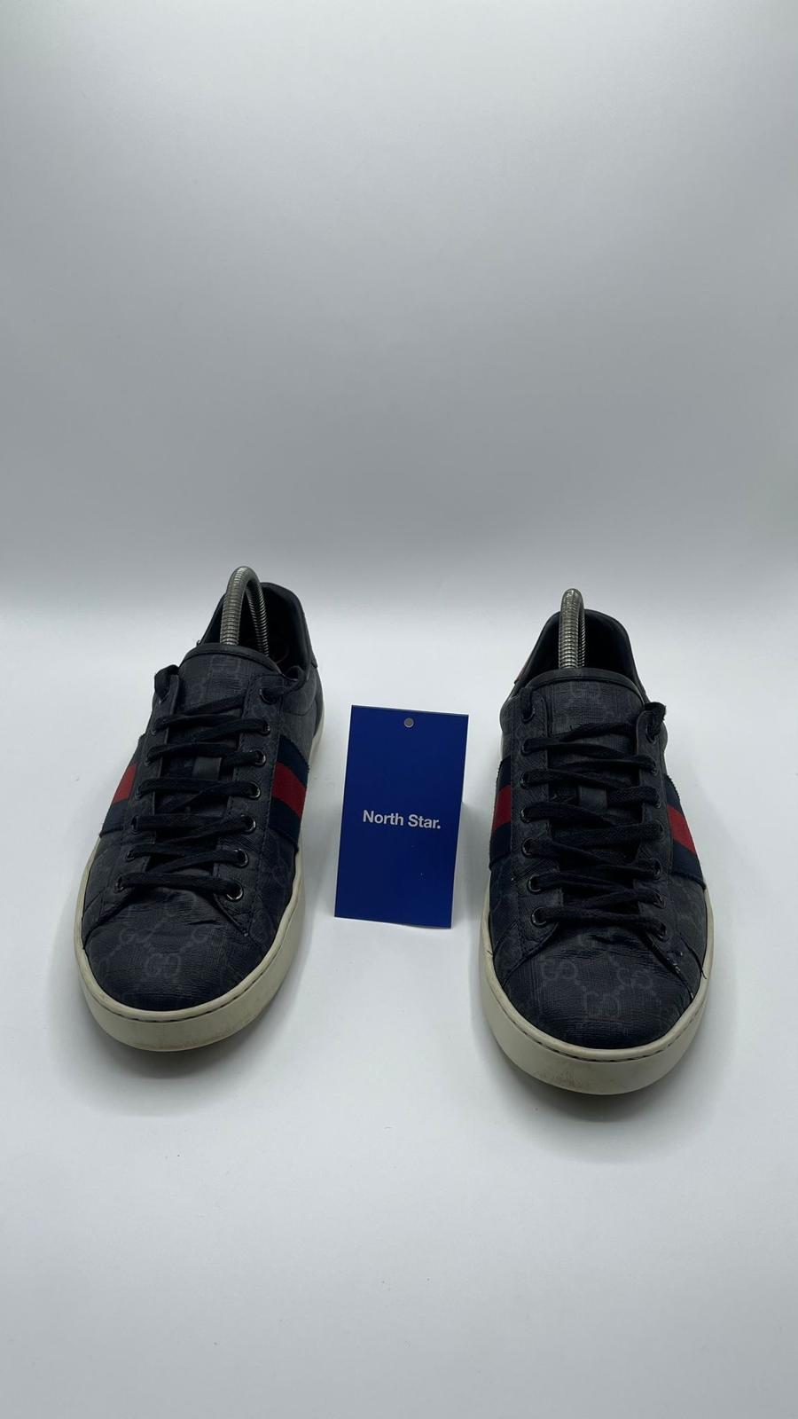 Gucci Ace