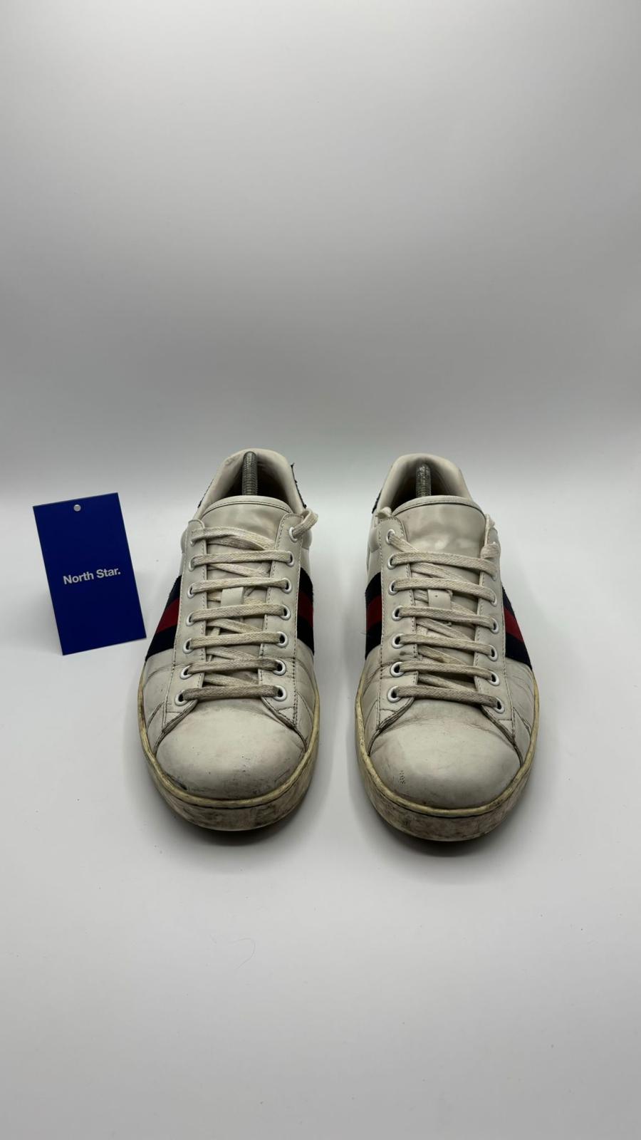 Gucci ACE - 43 EU