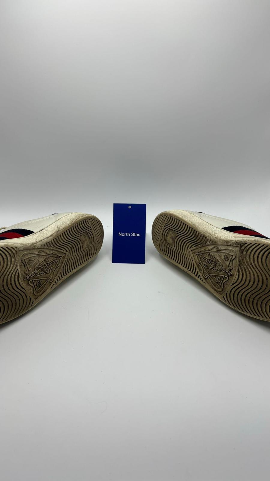 Gucci ACE - 43 EU