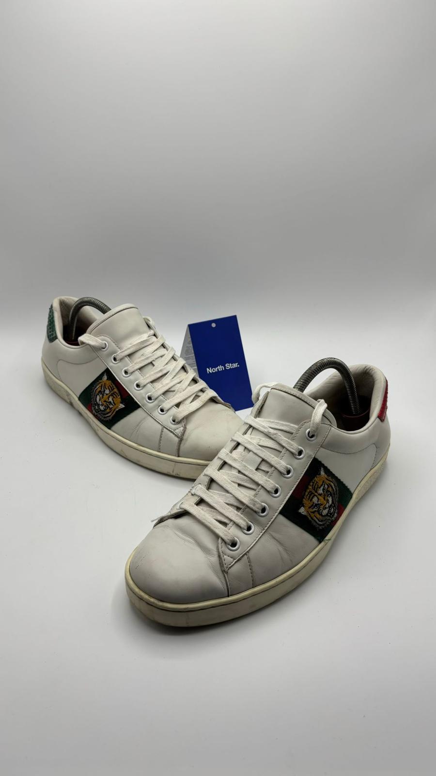 Gucci ACE Tiger - 42 EU