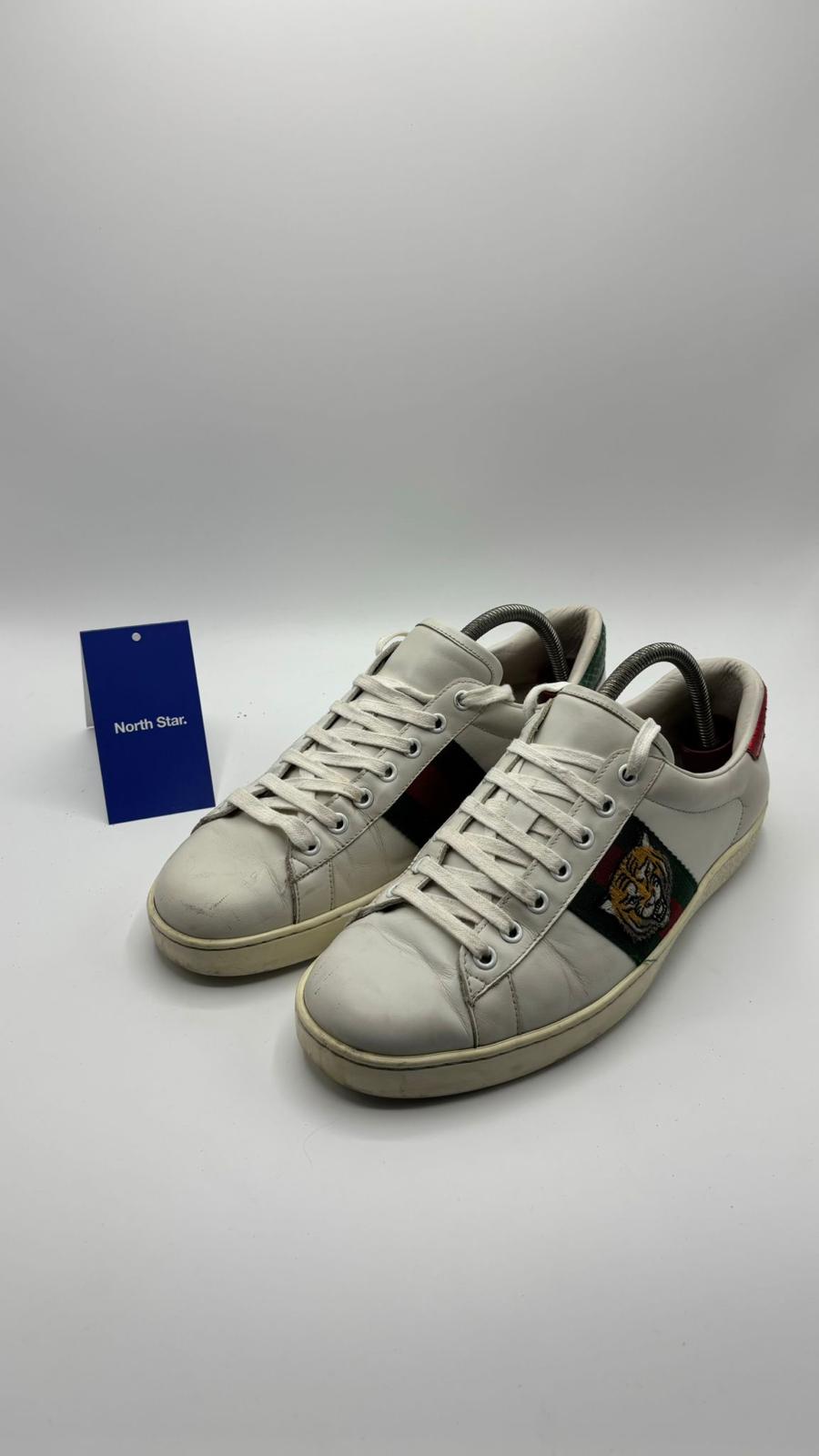 Gucci ACE Tiger - 42 EU