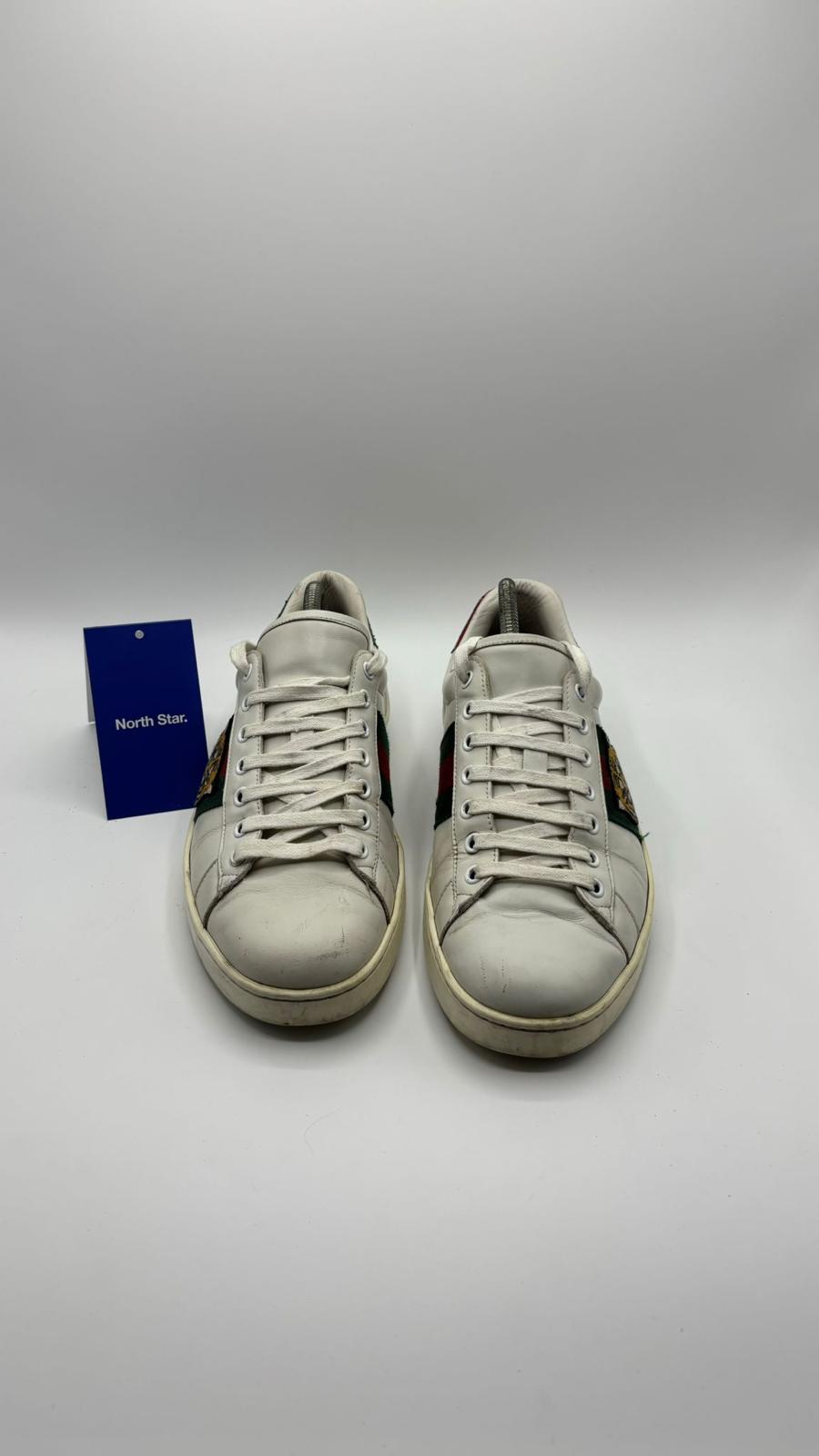 Gucci ACE Tiger - 42 EU