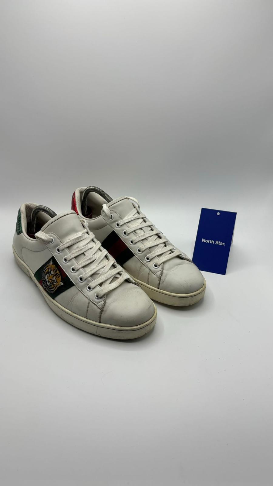 Gucci ACE Tiger - 42 EU