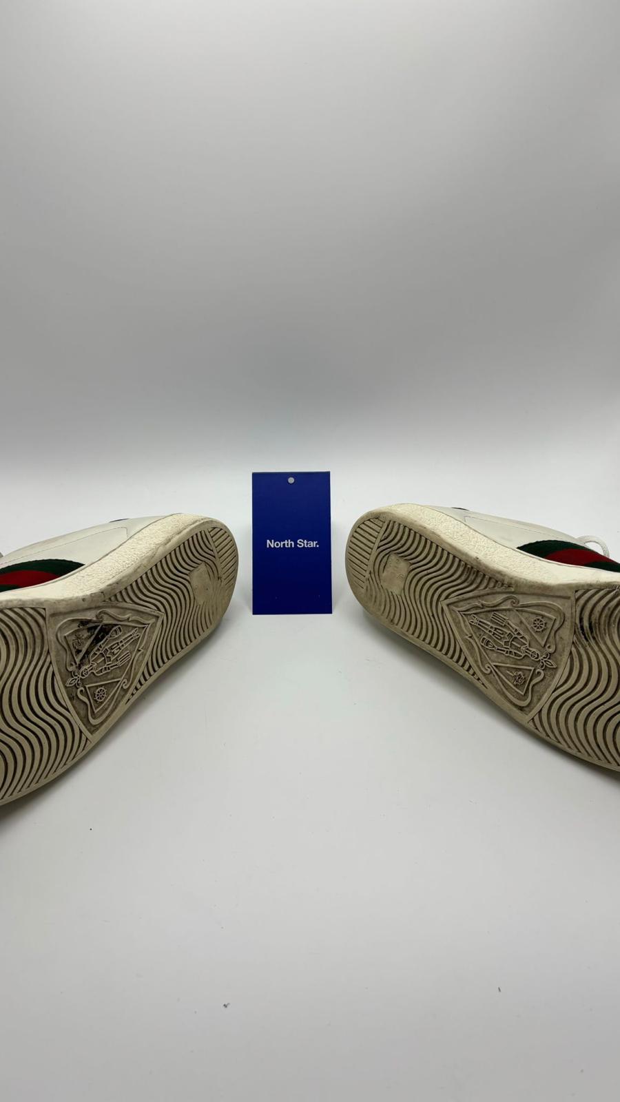 Gucci ACE Bee - 41.5 EU