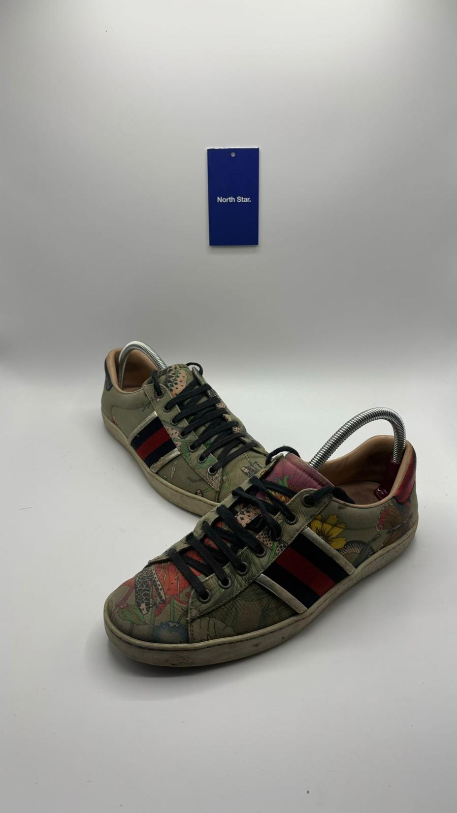 Gucci Ace - 41 EU