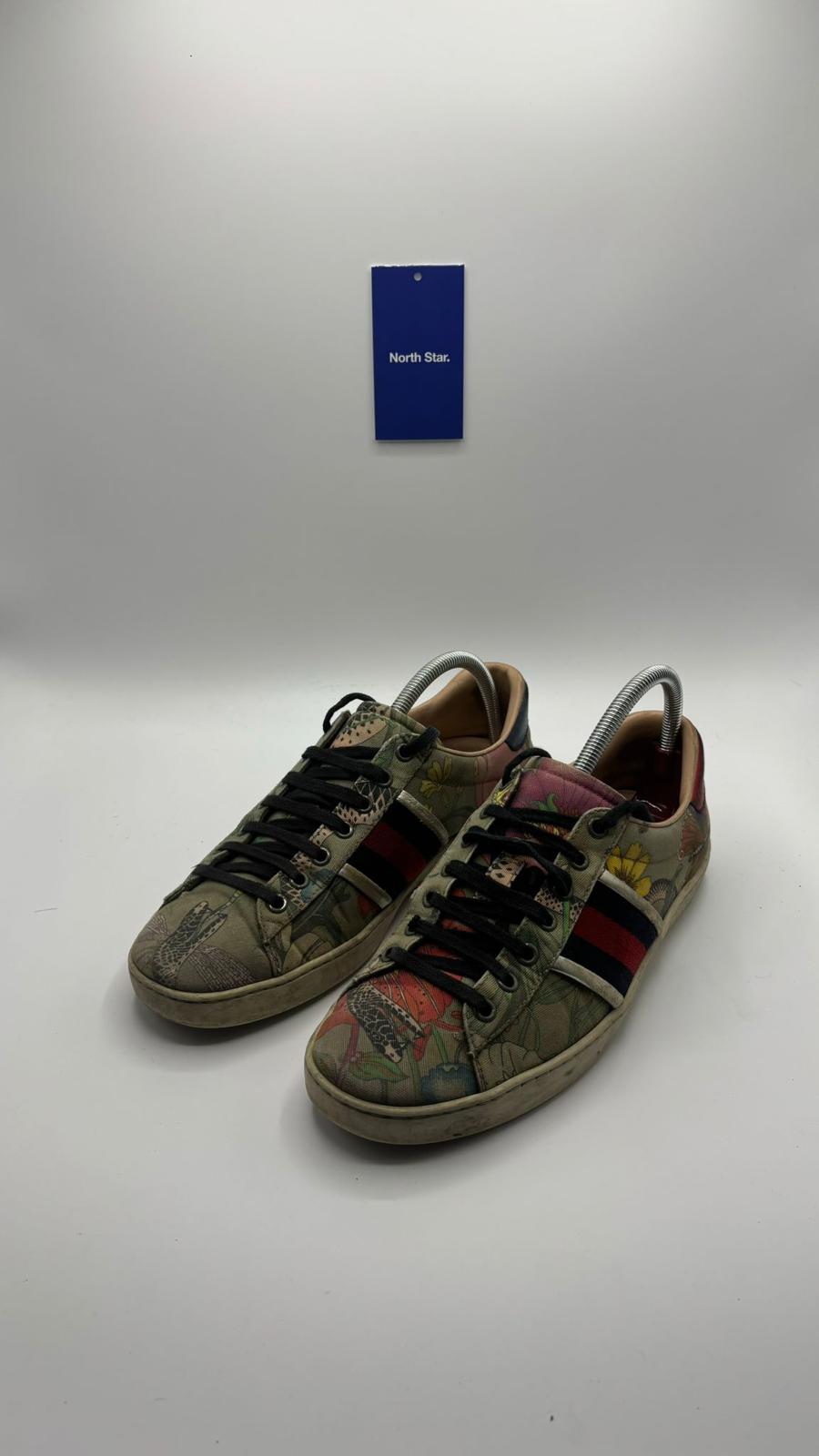 Gucci Ace - 41 EU
