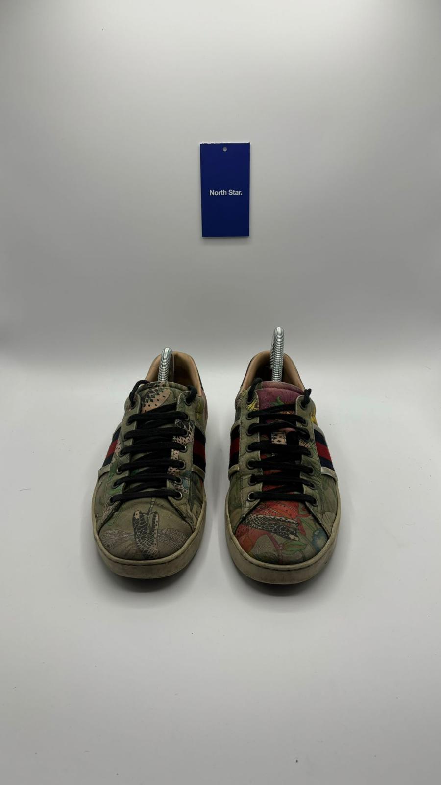 Gucci Ace - 41 EU