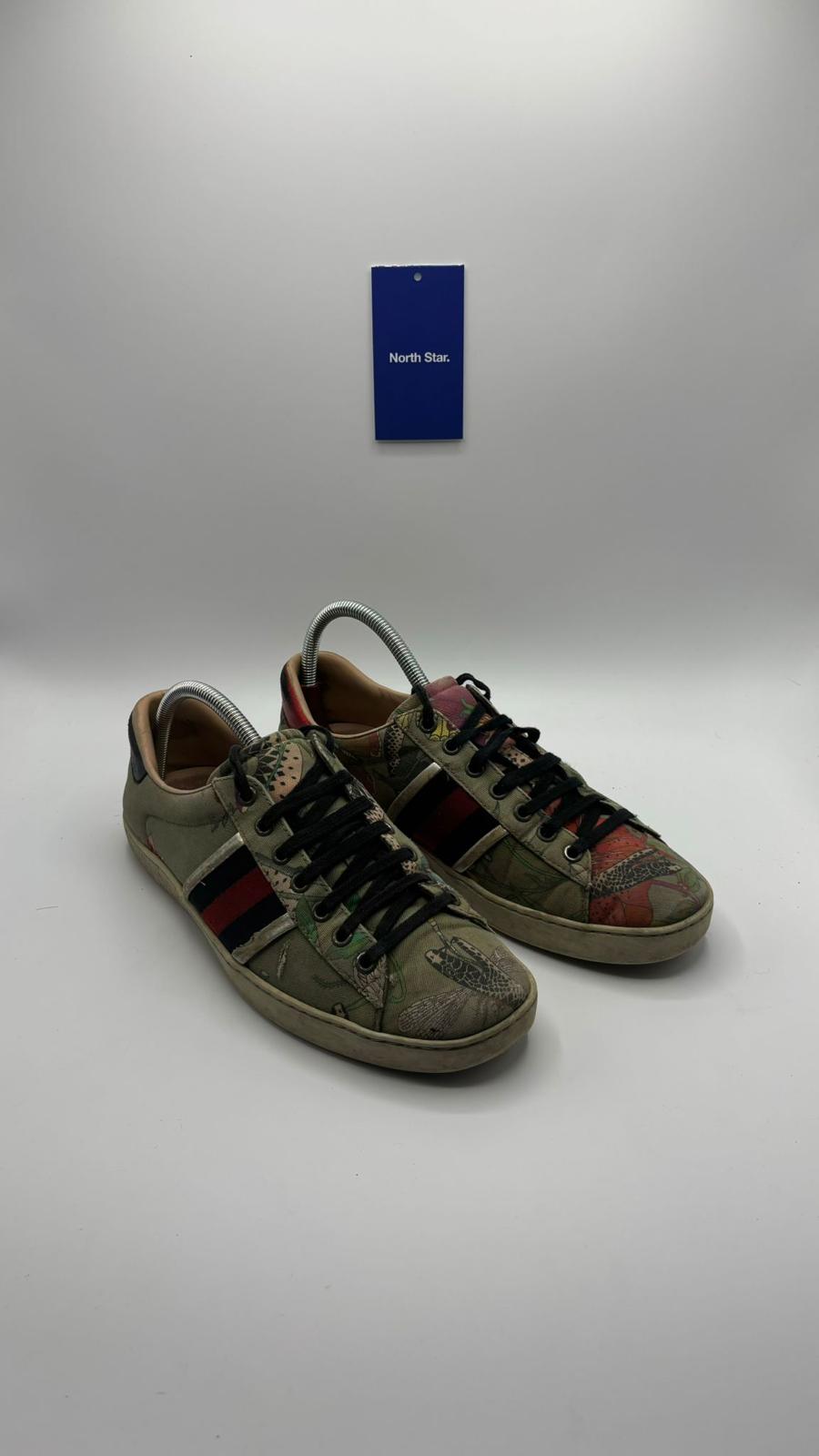 Gucci Ace - 41 EU
