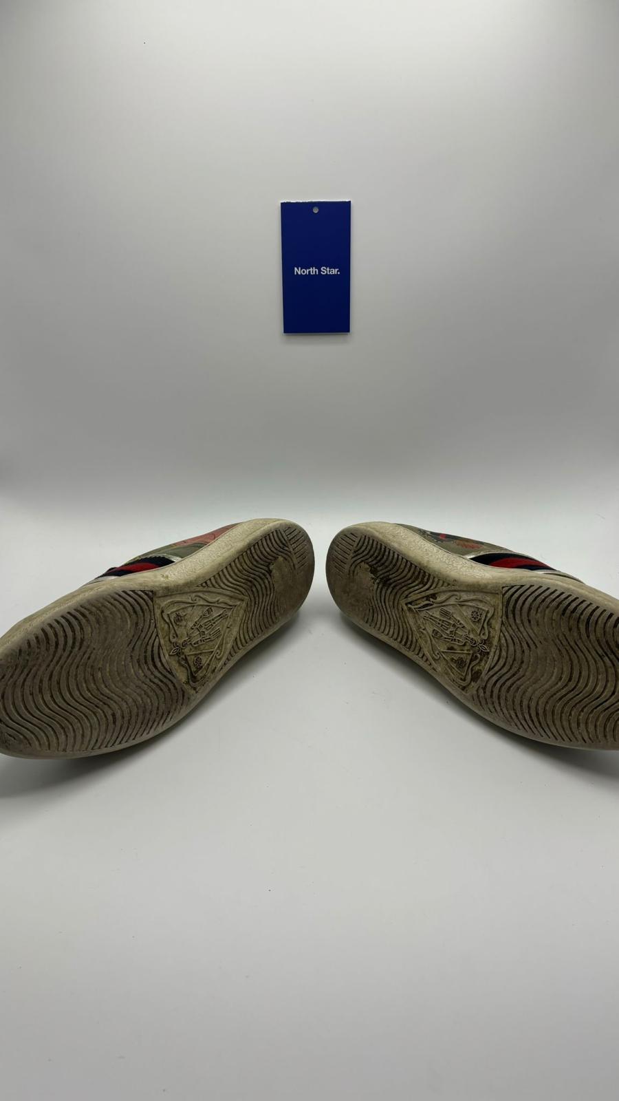 Gucci Ace - 41 EU